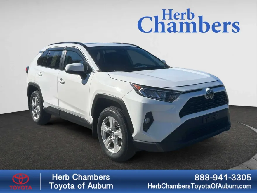 2019 Toyota RAV4 XLE photo 1