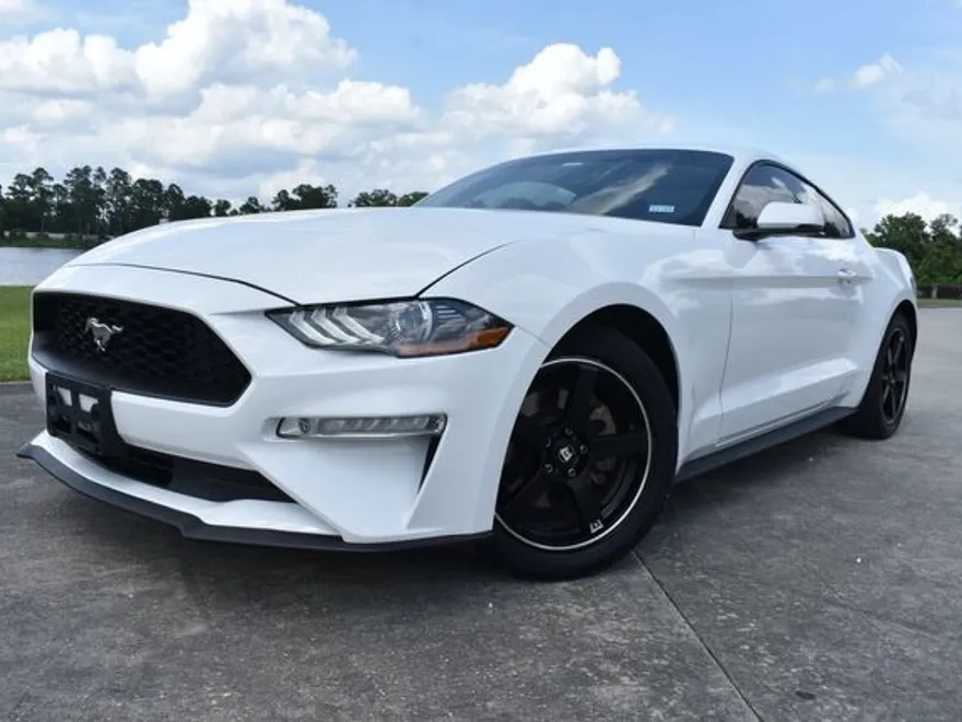 2019 Ford Mustang Premium photo 1