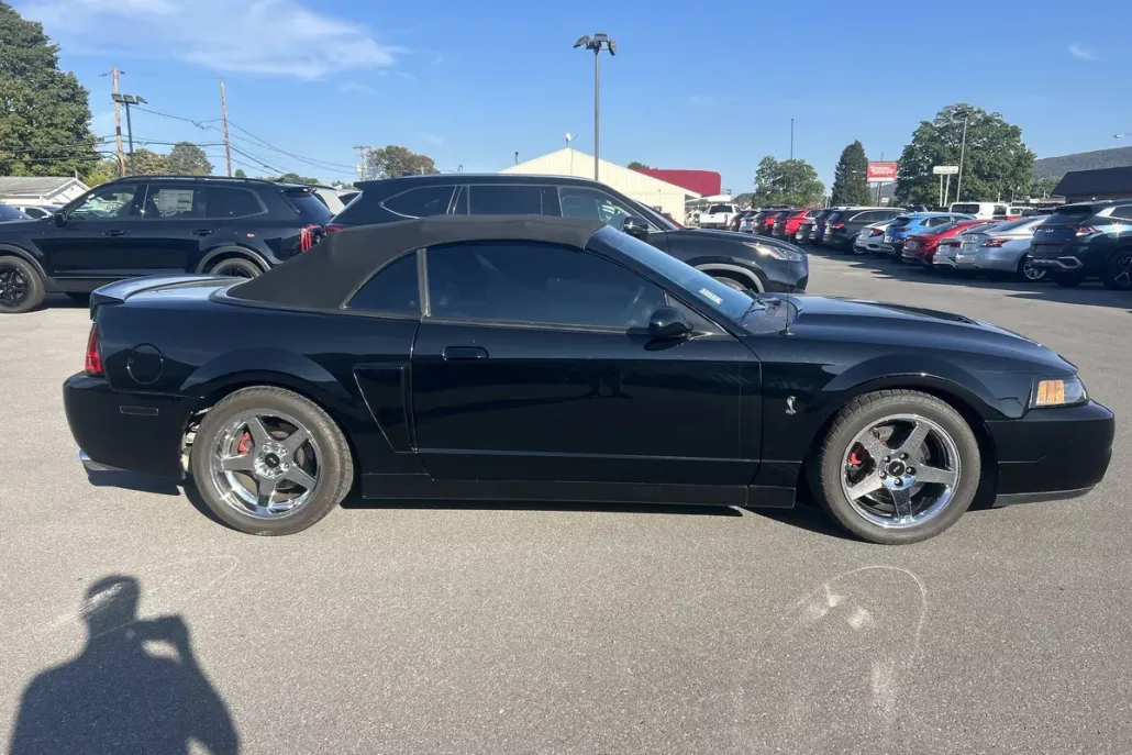 2004 Ford Mustang Cobra Convertible photo 1