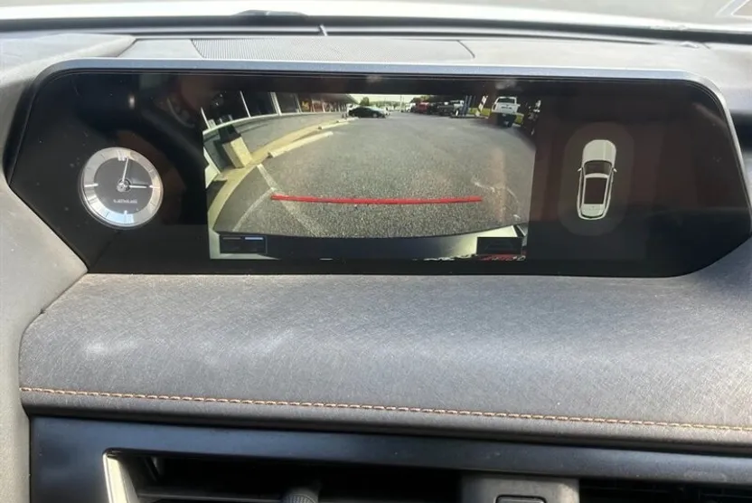 2019 Lexus UX 200 photo 1