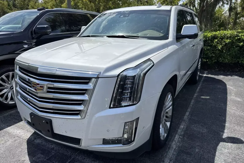 2019 Cadillac Escalade Platinum photo 1
