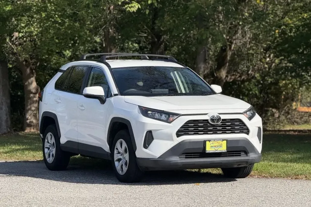 2019 Toyota RAV4 LE Sport photo 1