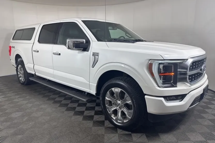 2021 Ford F-150 Platinum photo 1