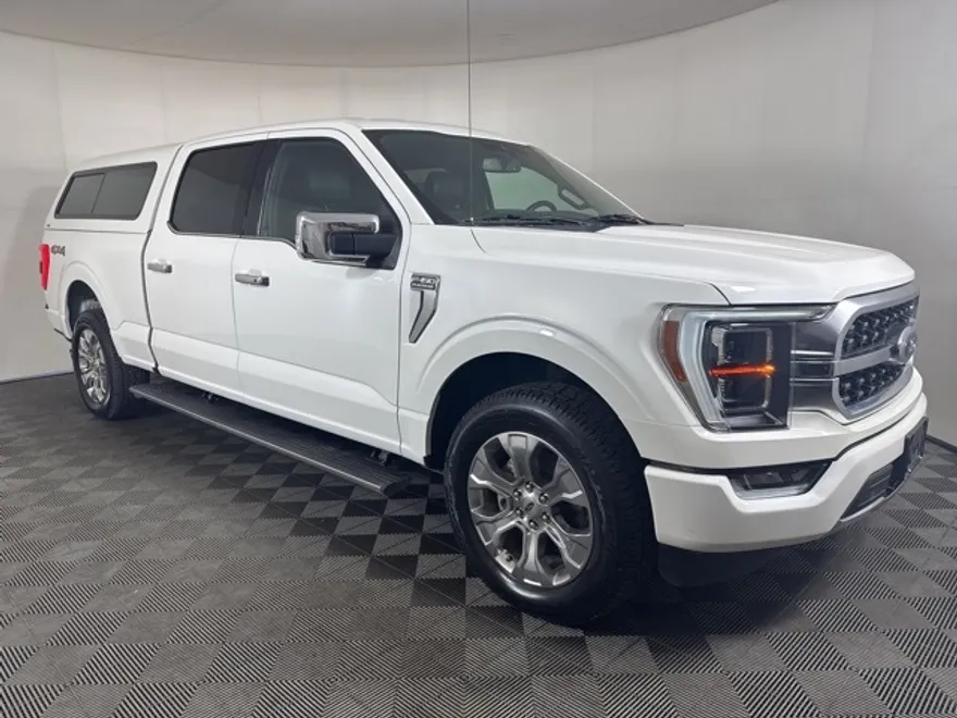 2021 Ford F-150 Platinum photo 1
