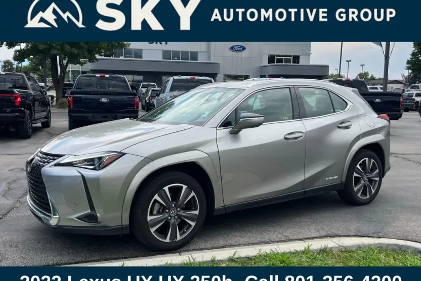 2022 Lexus UX 250h photo 1