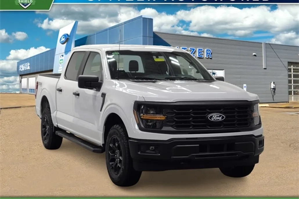 2025 Ford F-150 STX photo 1