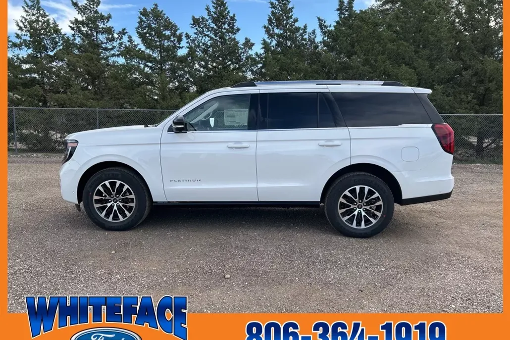 2025 Ford Expedition Platinum photo 1