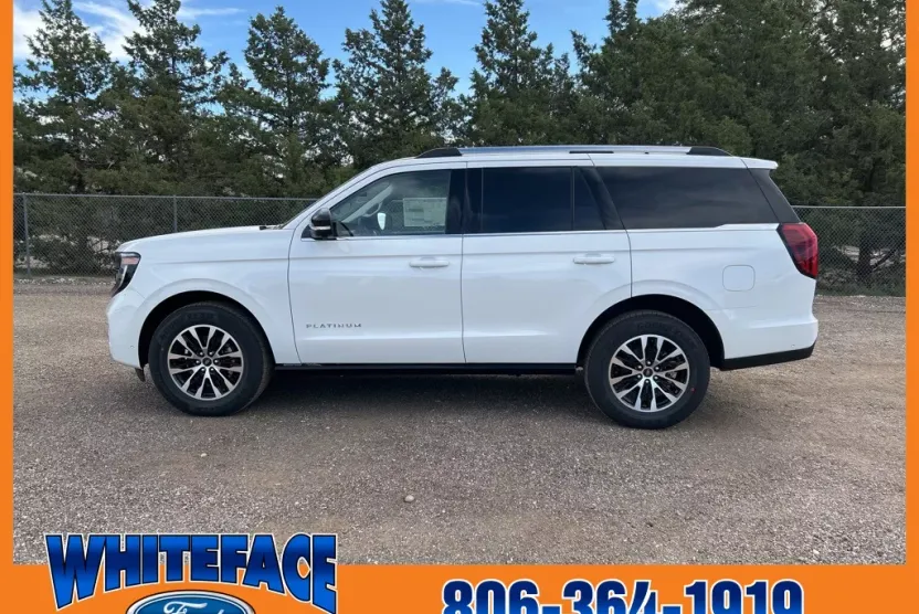 2025 Ford Expedition Platinum photo 1