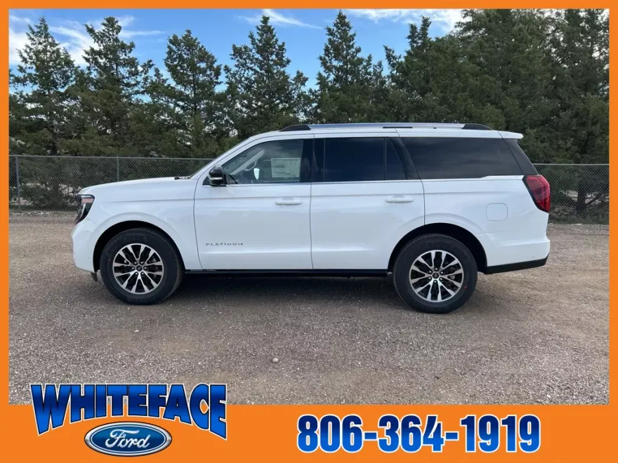2025 Ford Expedition Platinum photo 1