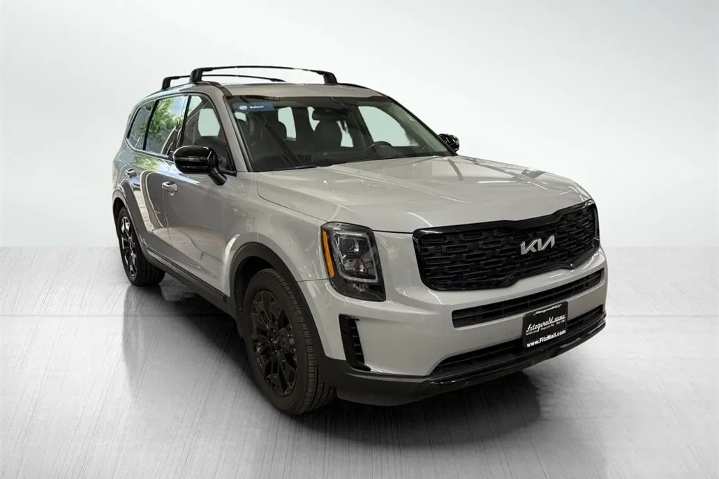 2022 Kia Telluride EX photo 1
