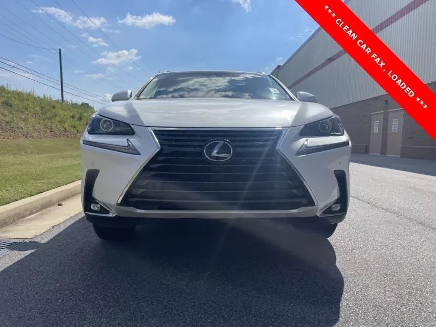 2018 Lexus NX 300h Luxury photo 1