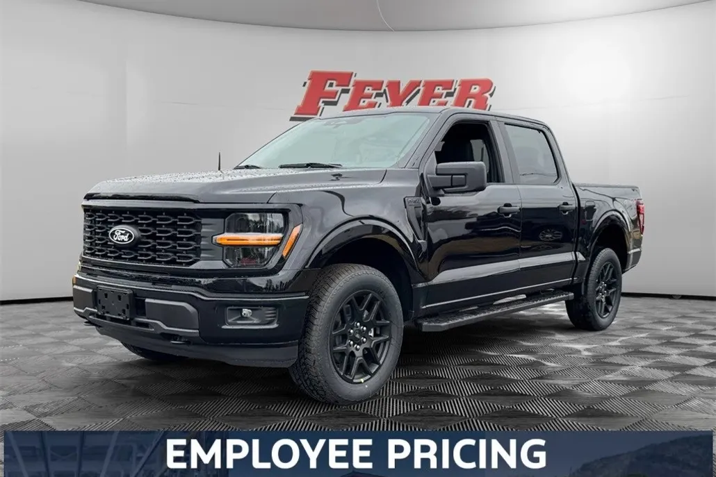 2025 Ford F-150 STX photo 1