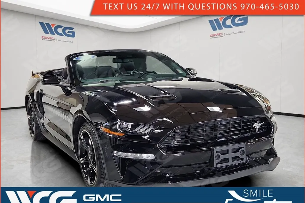 2019 Ford Mustang GT Premium photo 1