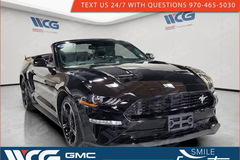 2019 Ford Mustang GT Premium photo 1