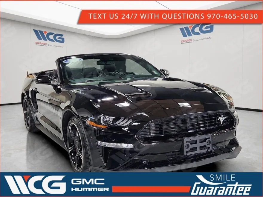 2019 Ford Mustang GT Premium photo 1