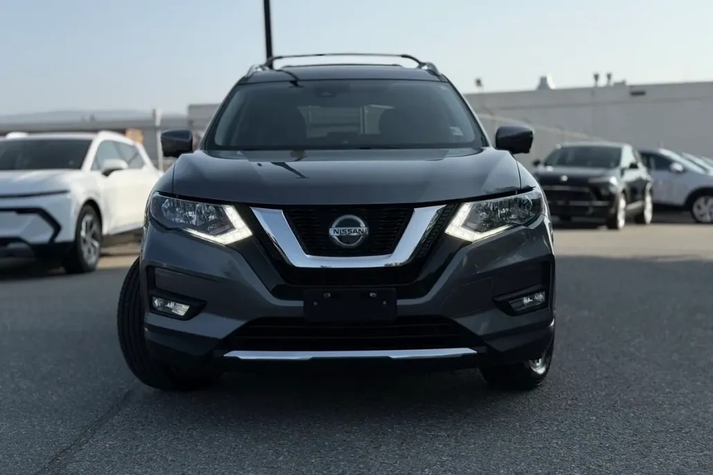 2019 Nissan Rogue photo 1