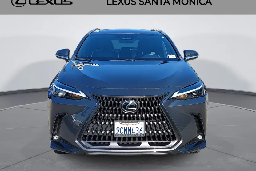 2022 Lexus NX 350 photo 1