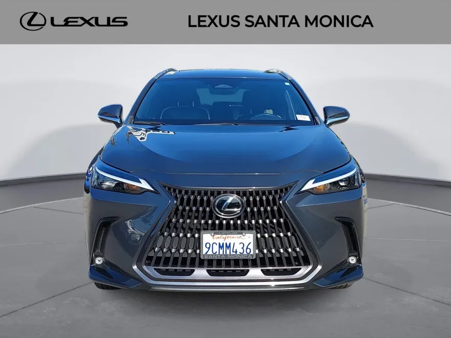 2022 Lexus NX 350 photo 1