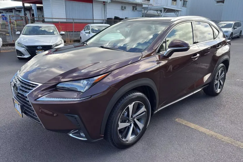 2018 Lexus NX 300 Luxury photo 1