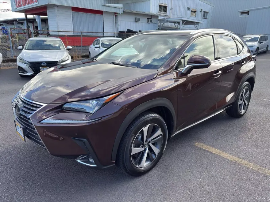2018 Lexus NX 300 Luxury photo 1