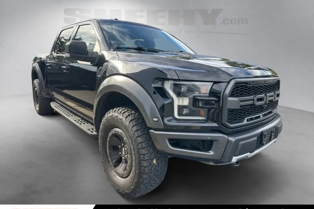 2017 Ford F-150 Raptor photo 1