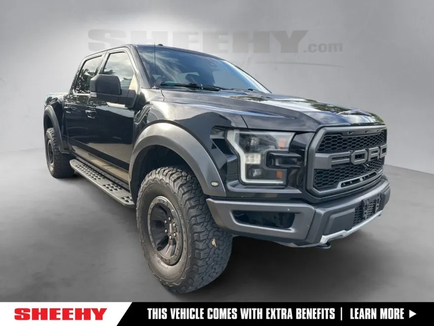 2017 Ford F-150 Raptor photo 1