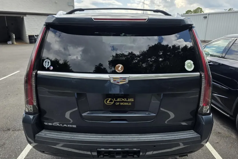 2019 Cadillac Escalade Luxury photo 1