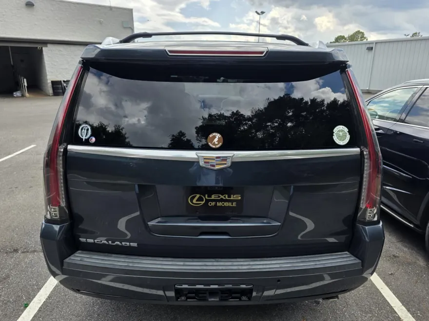 2019 Cadillac Escalade Luxury photo 1