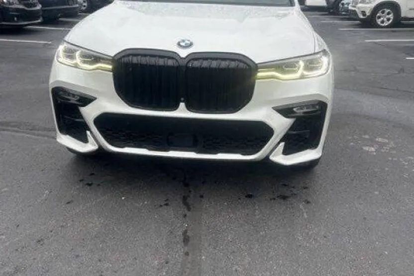 2019 Bmw X7 xDrive50i photo 1