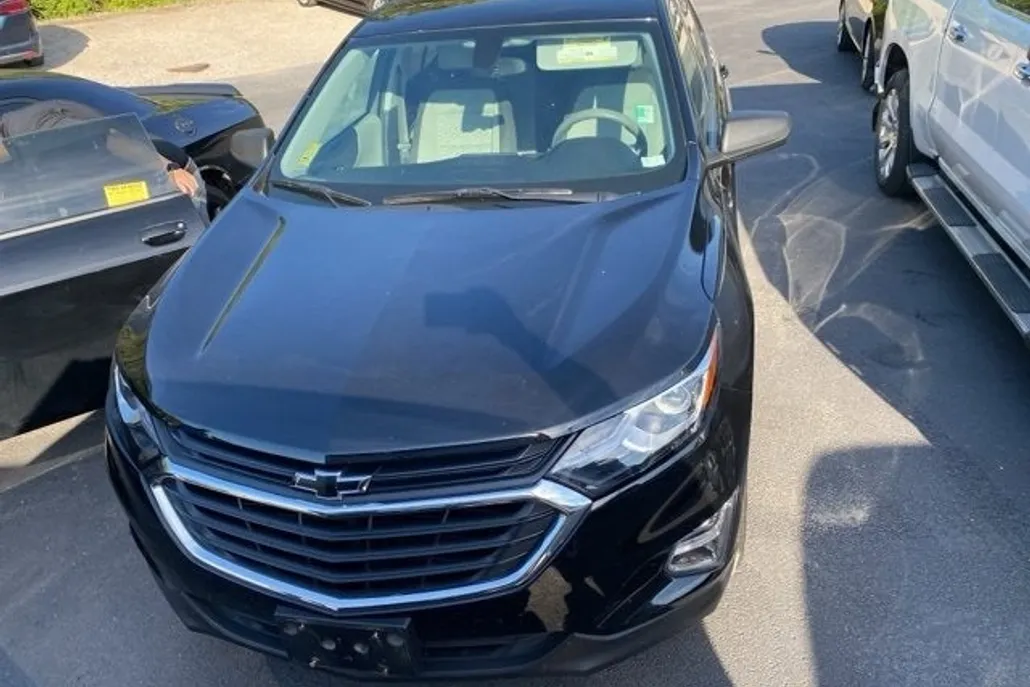 2019 Chevrolet Equinox LS photo 1