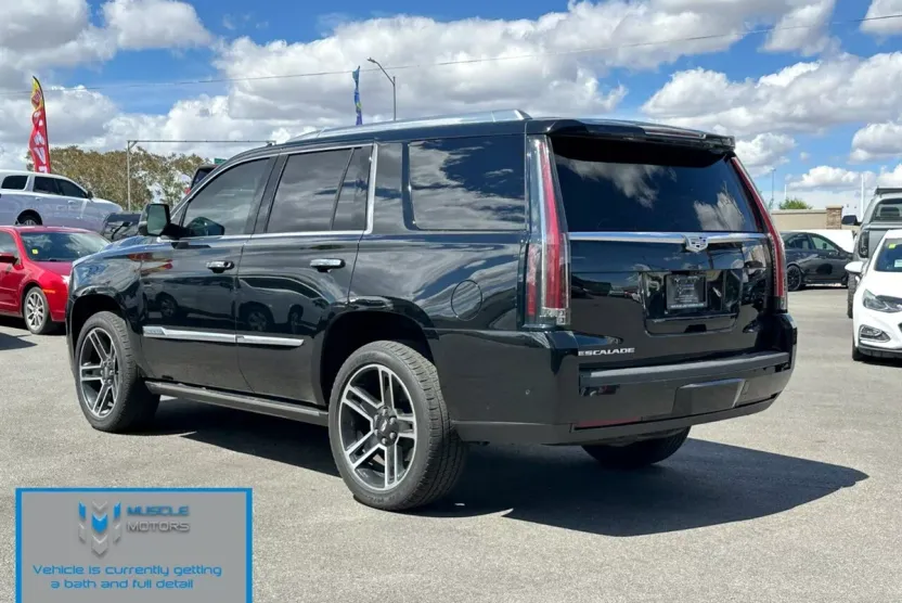 2017 Cadillac Escalade Platinum photo 1