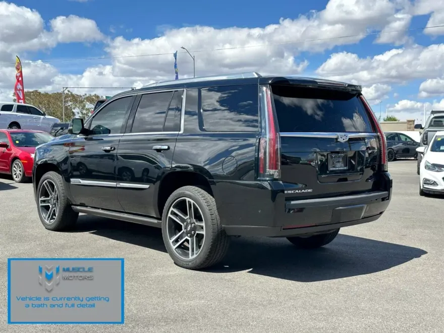 2017 Cadillac Escalade Platinum photo 1