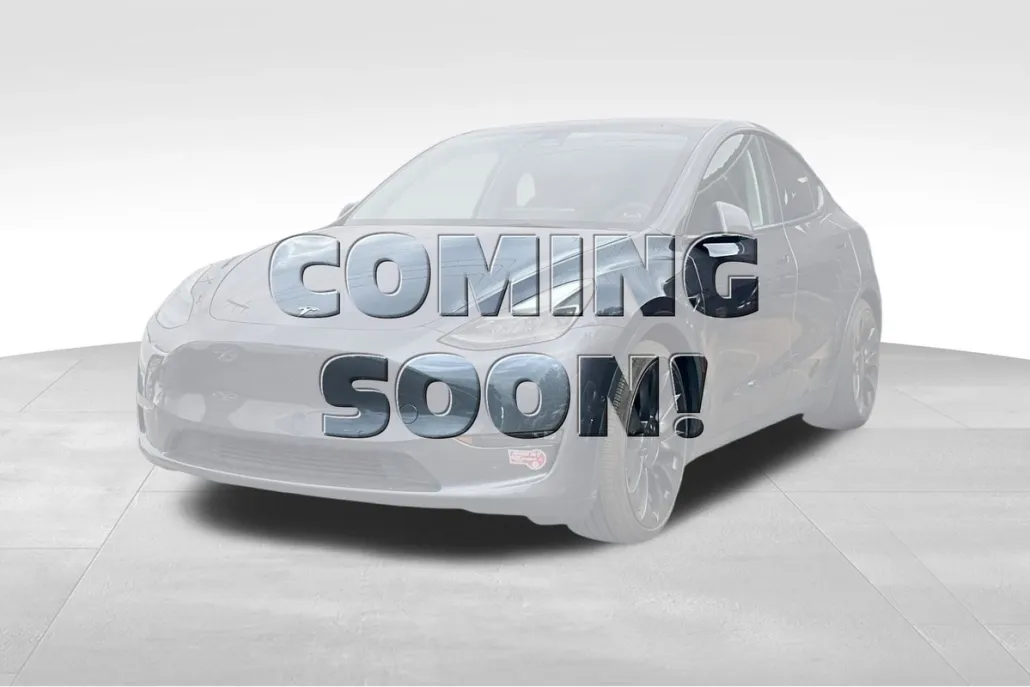 2022 Tesla Model Y Performance photo 1