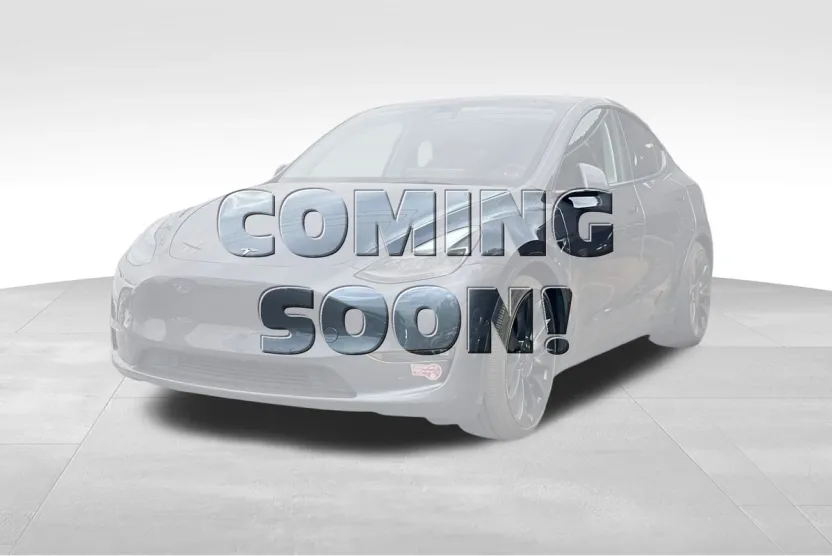 2022 Tesla Model Y Performance photo 1
