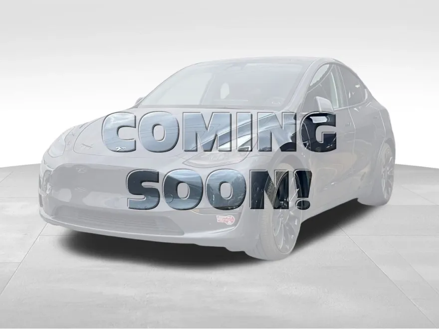2022 Tesla Model Y Performance photo 1
