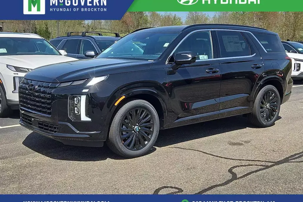 2025 Hyundai Palisade Calligraphy photo 1