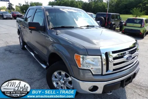 2013 Ford F-150 XLT photo 2
