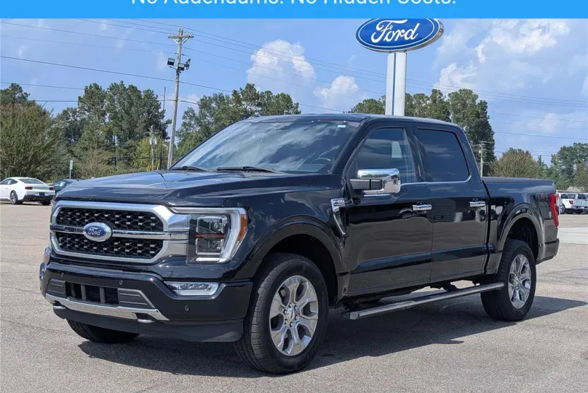 2023 Ford F-150 Platinum photo 1