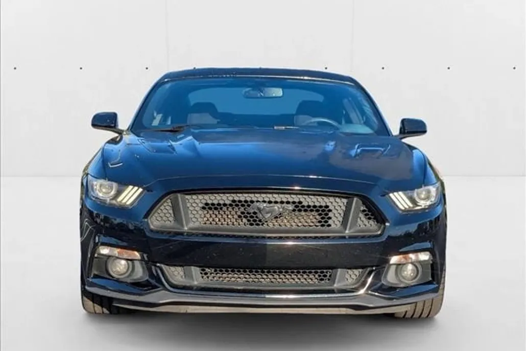 2017 Ford Mustang GT photo 1