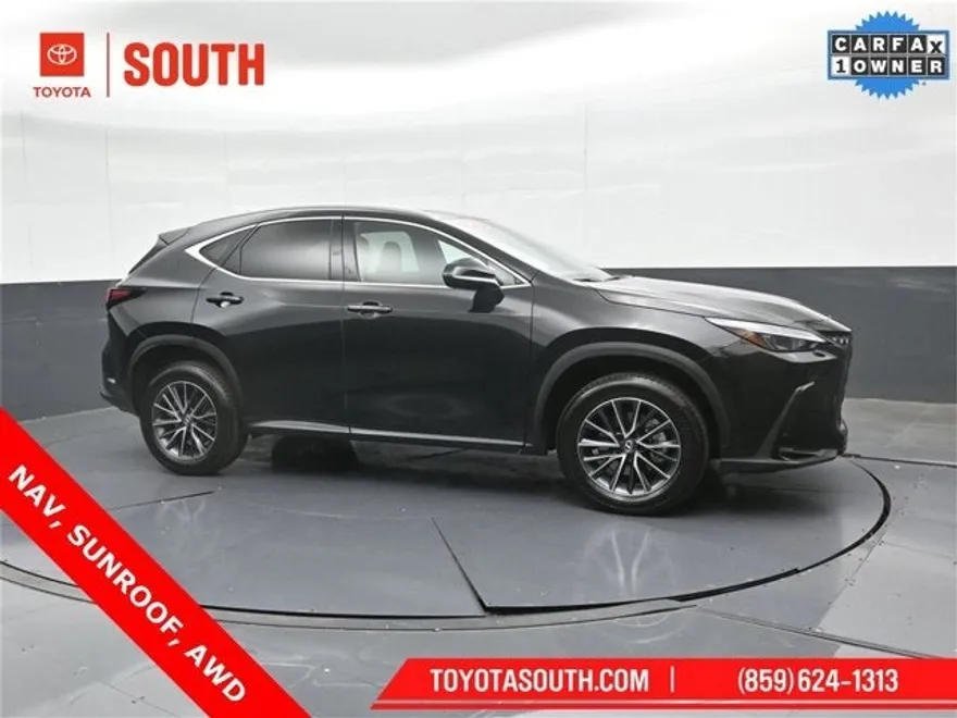 2025 Lexus NX 350h photo 1