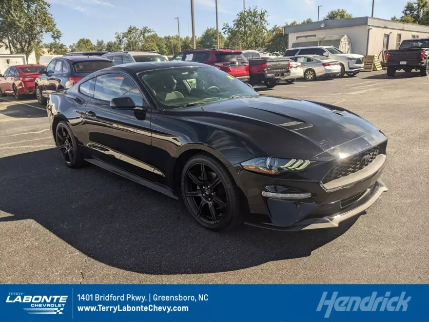 2019 Ford Mustang EcoBoost photo 1