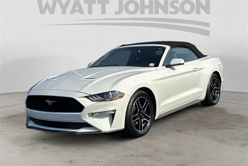 2019 Ford Mustang EcoBoost Premium photo 1