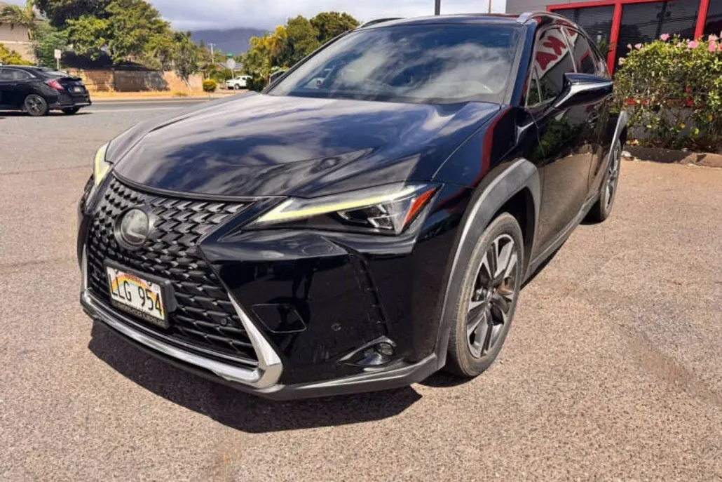 2019 Lexus UX 200 photo 1