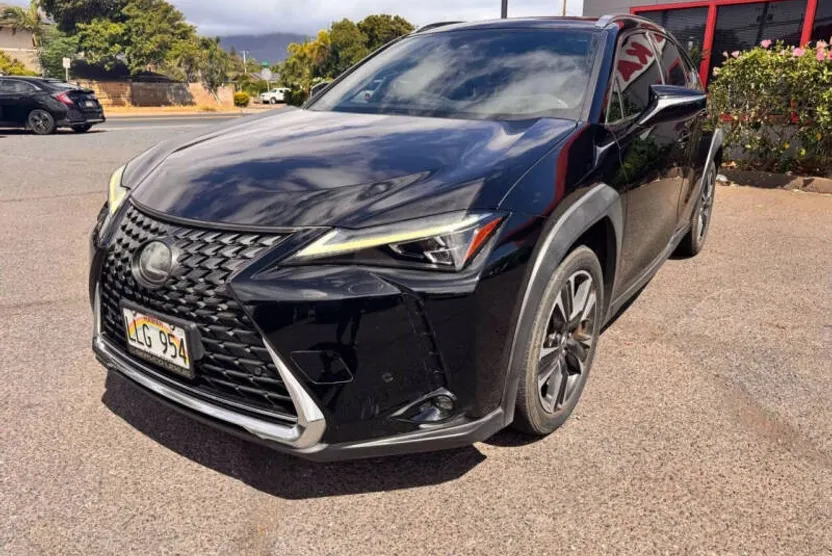 2019 Lexus UX 200 photo 1