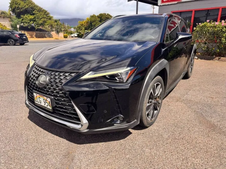 2019 Lexus UX 200 photo 1