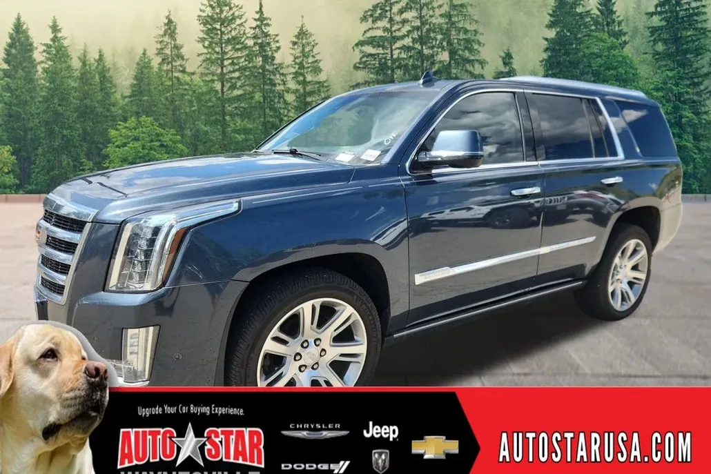 2020 Cadillac Escalade Premium Luxury photo 1