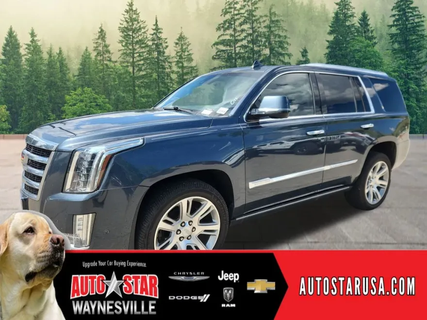 2020 Cadillac Escalade Premium Luxury photo 1