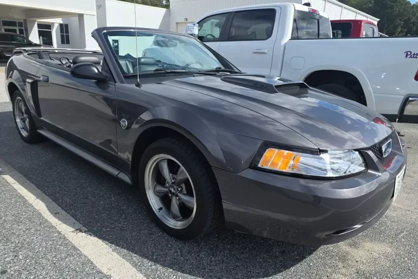 2004 Ford Mustang GT Deluxe photo 1