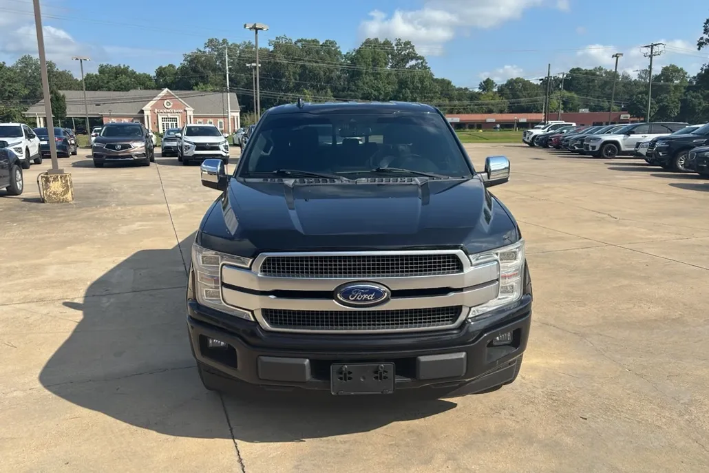 2019 Ford F-150 Platinum photo 1