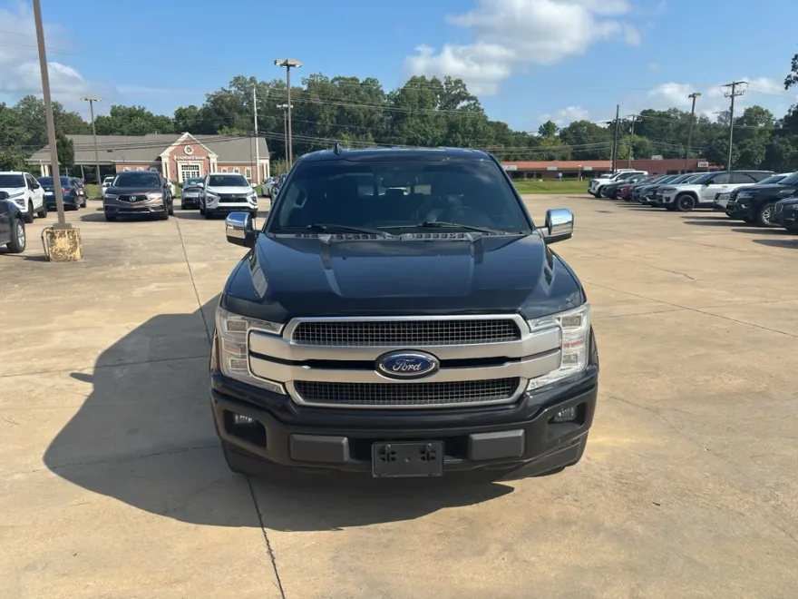 2019 Ford F-150 Platinum photo 1